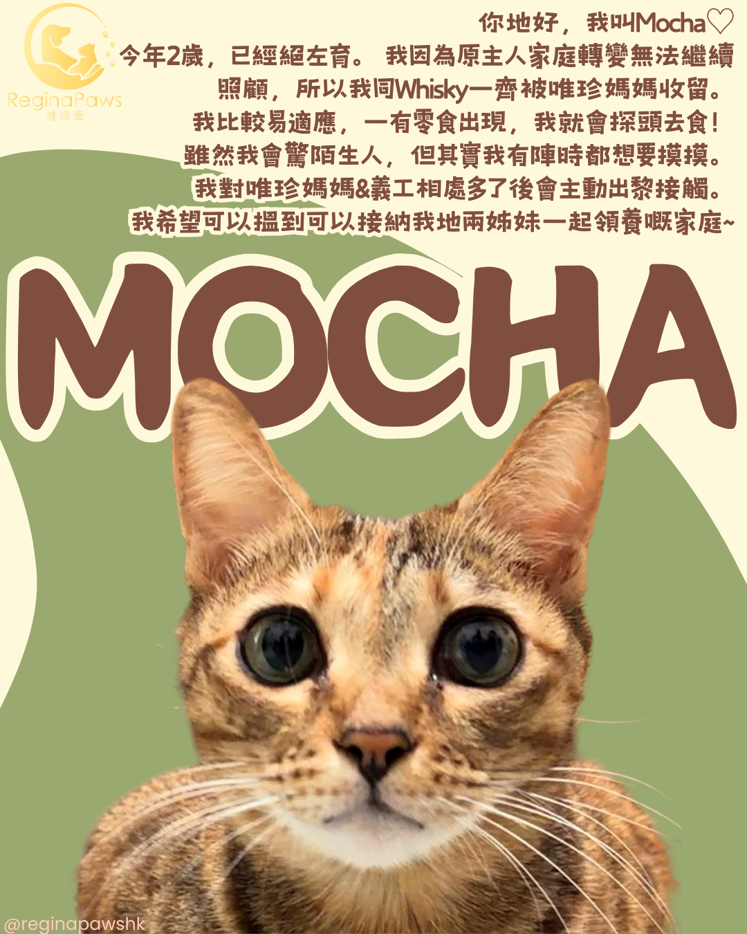Mocha